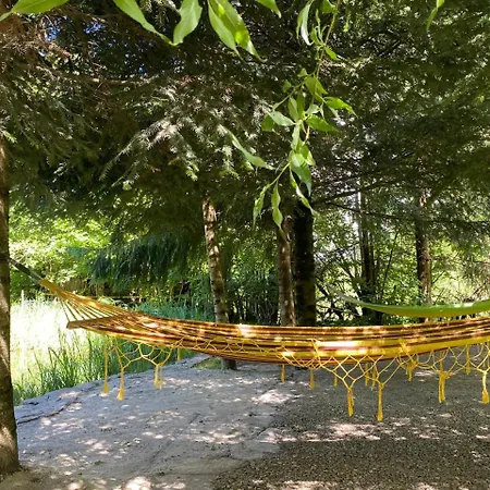 Kazka Lisu Guest house Skhidnytsia