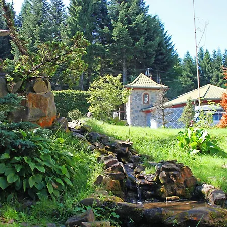Kazka Lisu