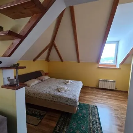 Kazka Lisu Gæstehus 3*