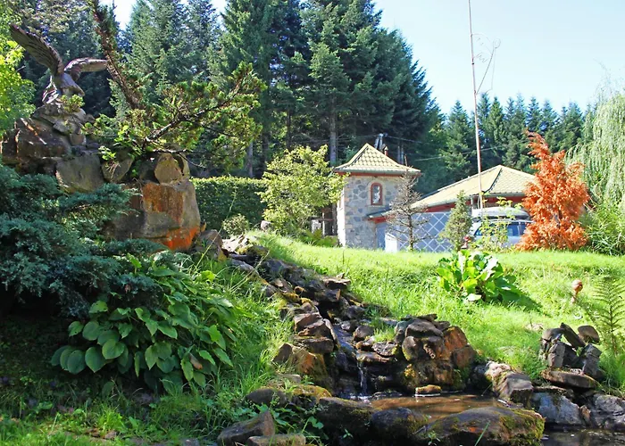 Kazka Lisu